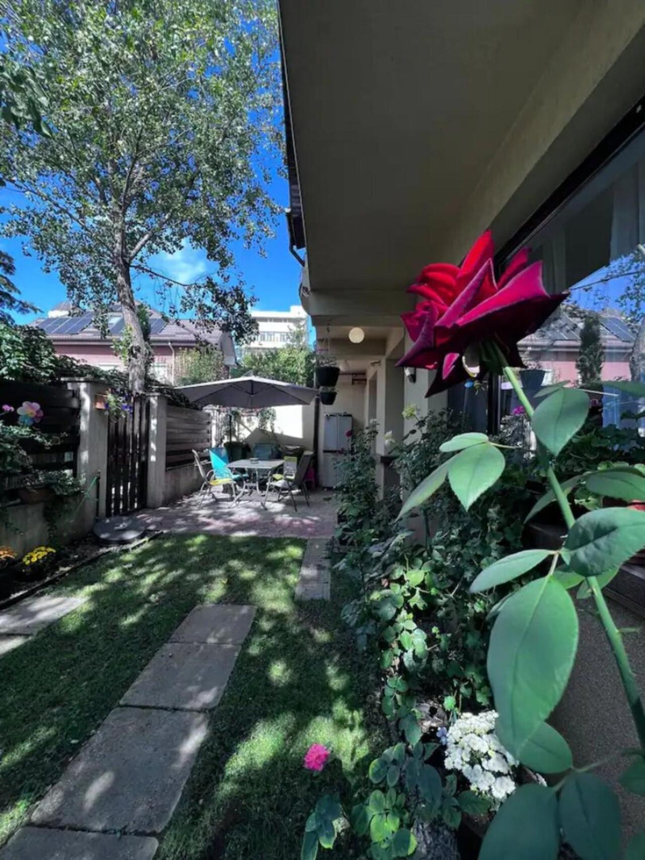 Vila Luminoasa Cu Curte Privata Bucarest Exterior foto